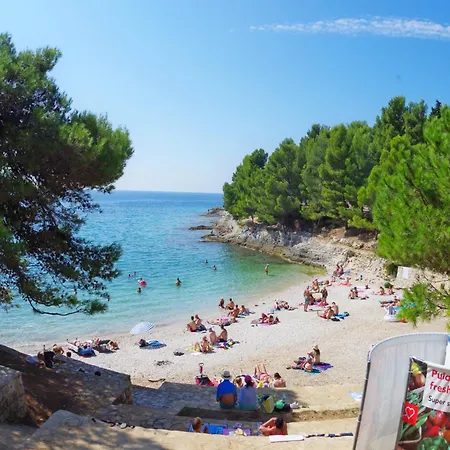 Cony And Tara * Póla