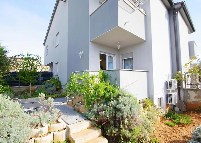 Cony And Tara * Pula